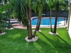 Artificial Grass Installation Company, Tree Well Surfacing Contractor Enterprise NV