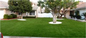 Artificial Grass Maintenance Contractor, Synthetic Lawn Cleaning and Maintenance Enterprise NV