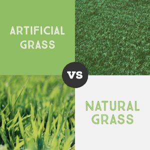 Artificial Grass vs Natural Grass, Artificial Turf Advantages Enterprise NV
