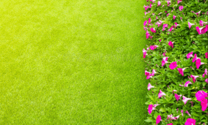 How To Integrate Flowers And Artificial Grass Enterprise